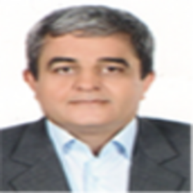 امیر فیاض مقدم