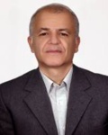 محمد مهدی برادرانی