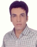 امیر فتحی