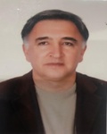 دکتر میرخلیل پیروزی فرد